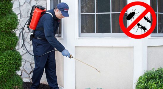 Gülyalı Kemirgen İlaçlama böcek ilaçlama ve haşere kontrolü — ilaclama-tr.com
